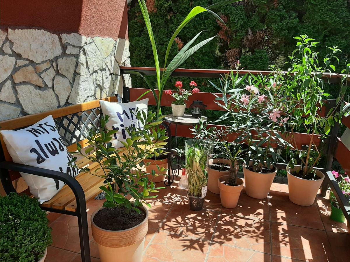Zala Holiday Apartman كيستاي المظهر الخارجي الصورة
